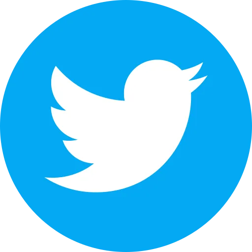VES Logo Image